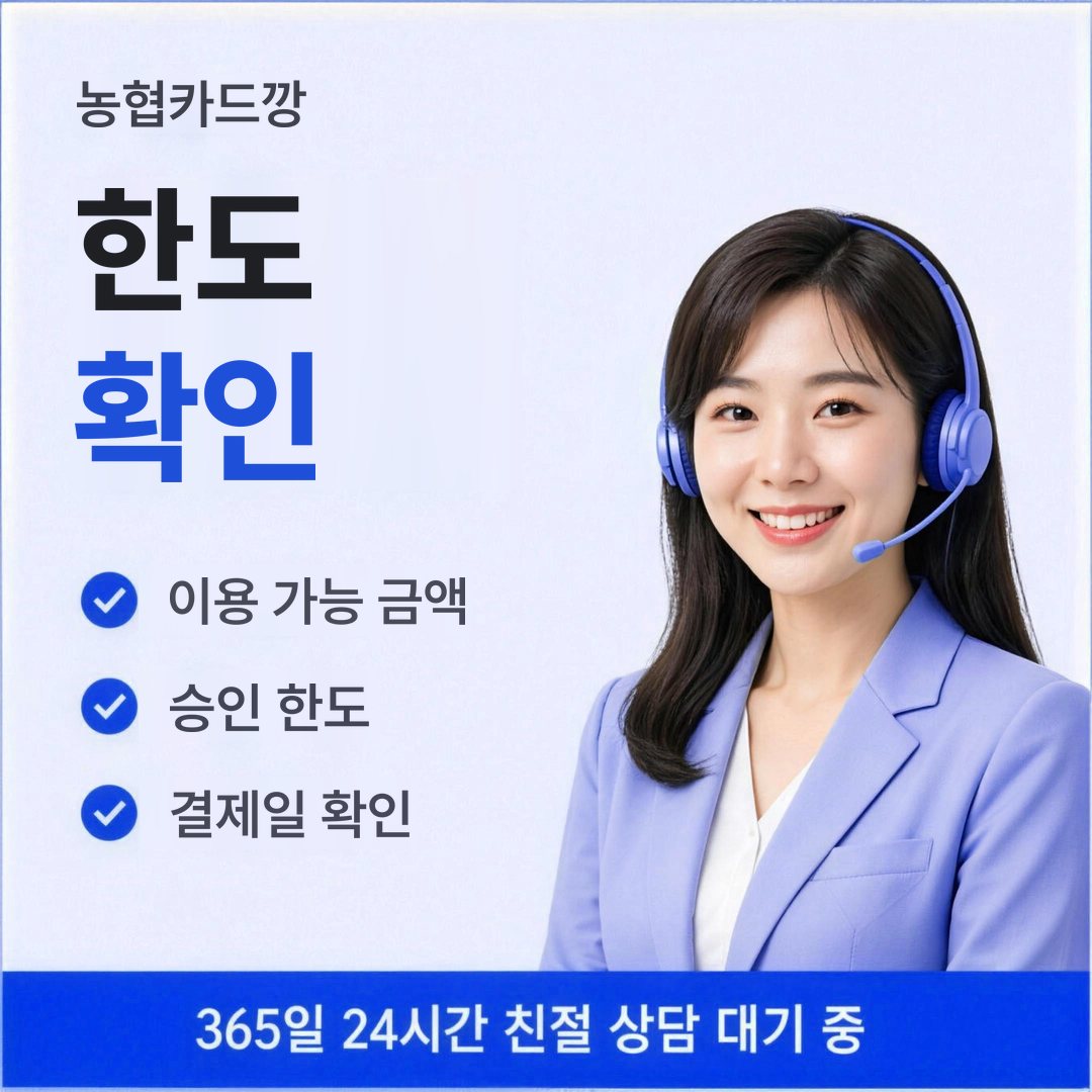 다음머니 농협카드깡 한도 확인 방법 안내