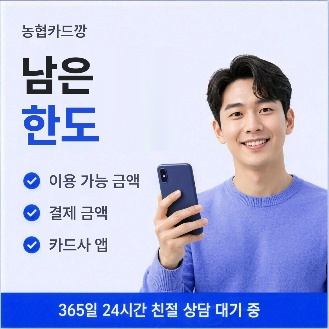 다음머니 농협카드깡 남은 한도 안내